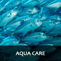 Aqua Care