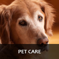 Pet Care